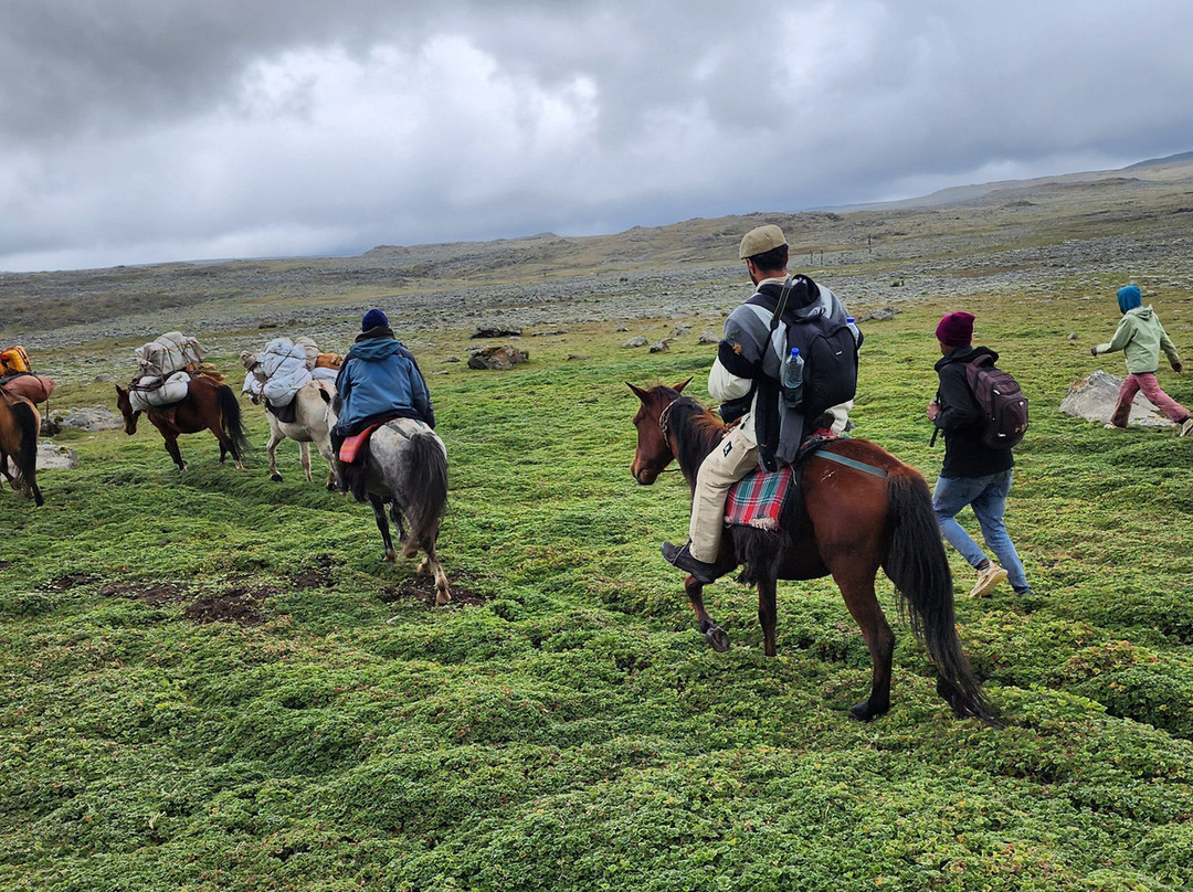 Bale Mountains Eco Tours Ethiopia景点图片