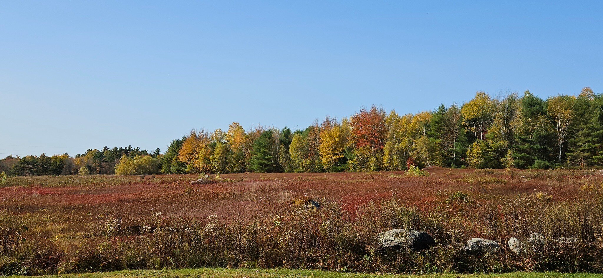 Blueberry Fields Bed & Breakfast-官方