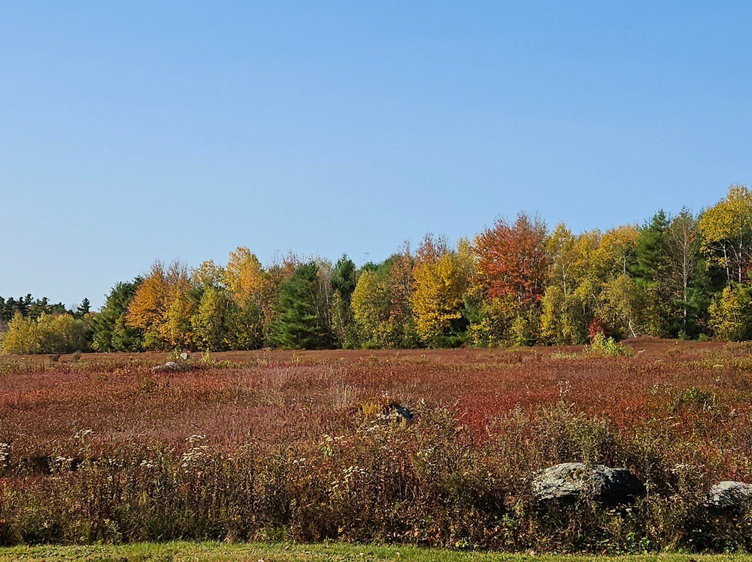 Blueberry Fields Bed & Breakfast主图