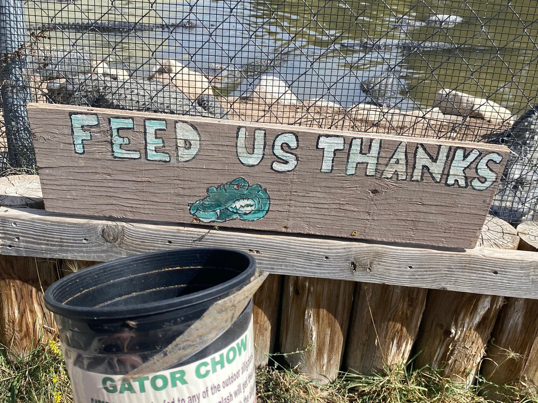 Colorado Gators Reptile Park-Mosca必去景点
