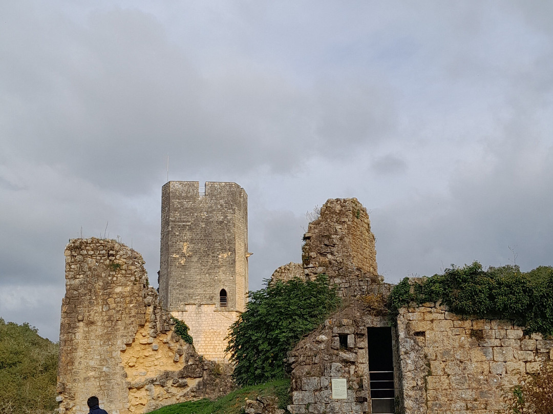 Château De Gavaudun景点图片