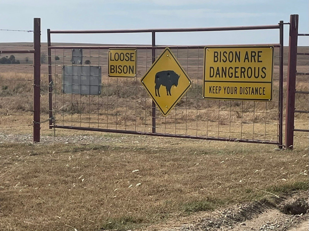 Tallgrass Prairie Preserve-Pawhuska必去景点