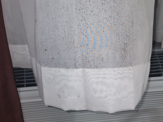 Super 8 by Wyndham Peoria East主图