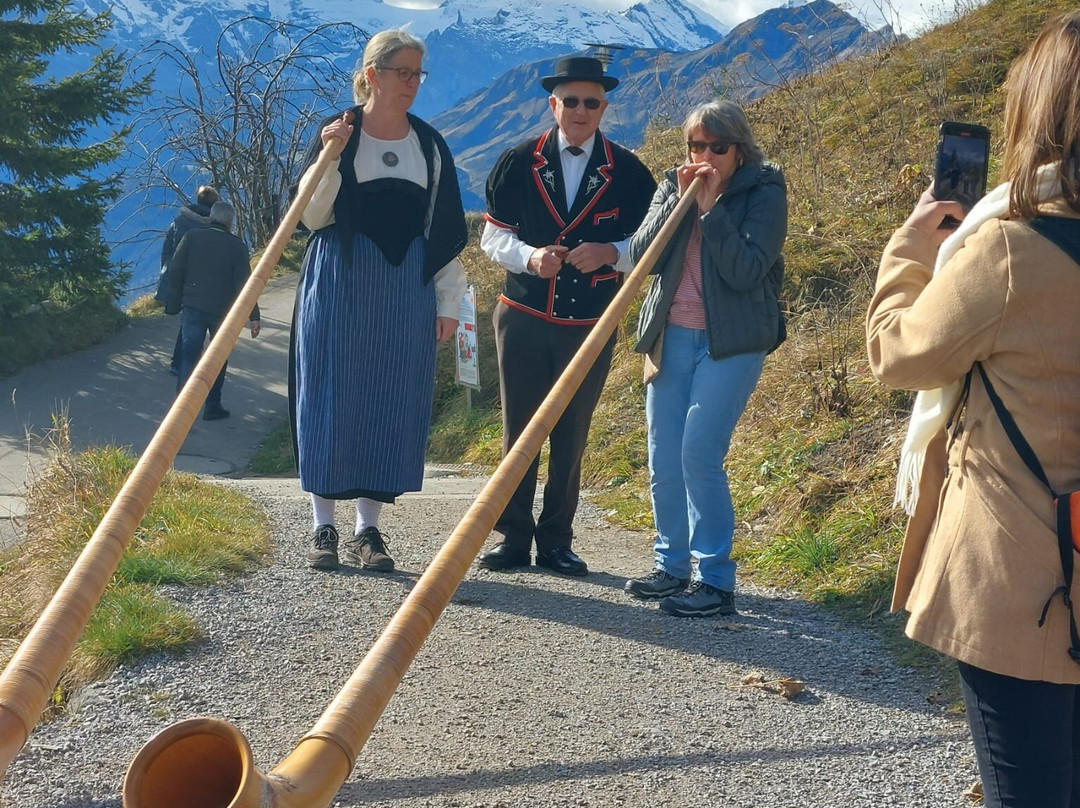 Schynige Platte-维尔德斯维尔必去景点