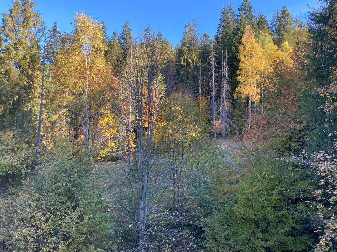 Hotel Żywiecki Medical SPA & Sport Żywiec主图