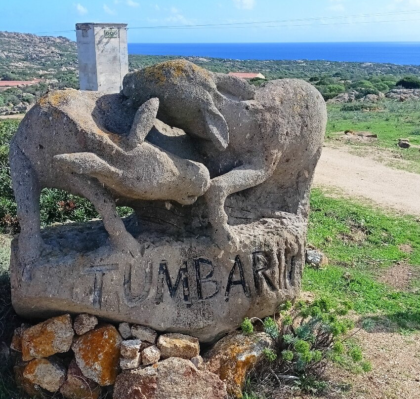Wild Asinara Park-萨萨里省必去景点