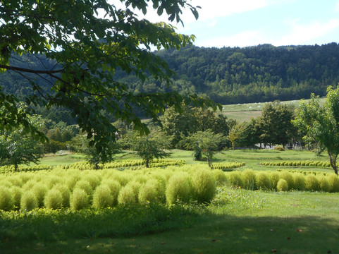 仁花园-由仁町必去景点