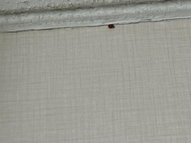 品质套房酒店主图