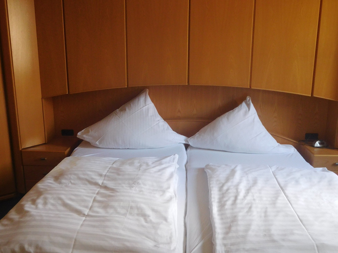 Zur Alten Brucke主图