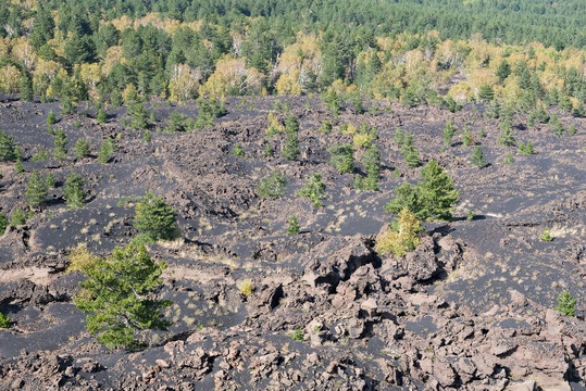 Sicily Adventure-陶尔米纳必去景点
