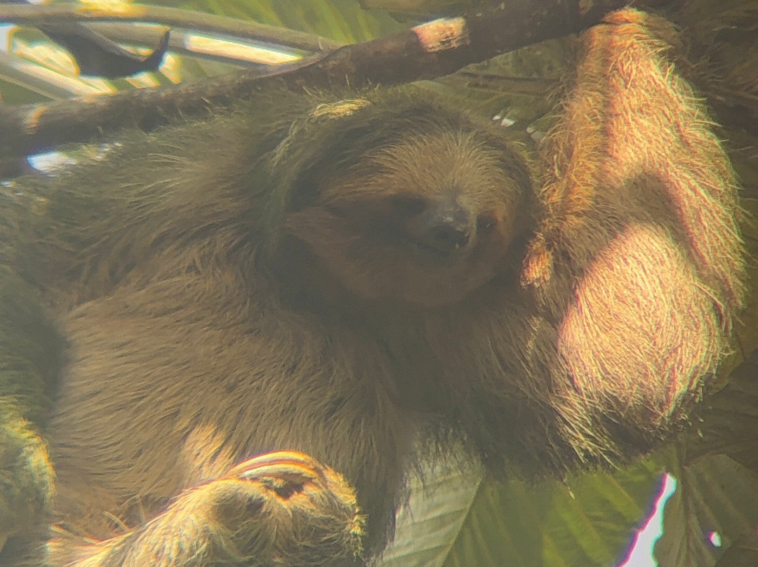 Jungle Life Costa Rica-Bijagua de Upala必去景点