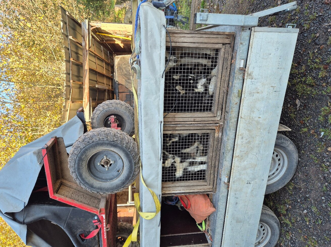 La Petite Finlande主图