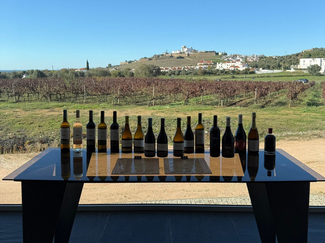 Tiago Cabaço Winery景点图片