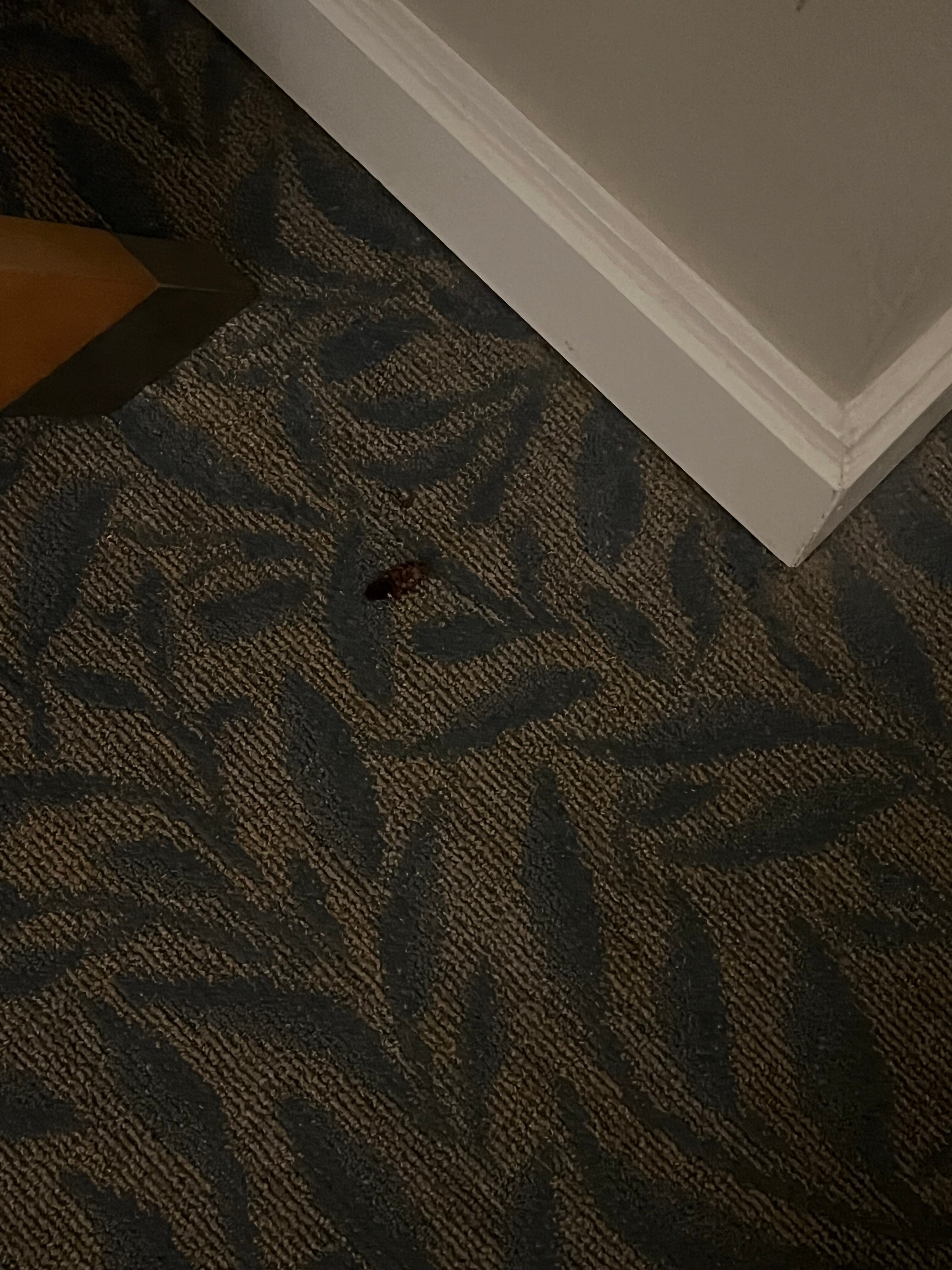 The Lodge at Hammock Beach-官方