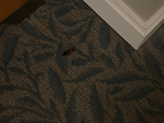 The Lodge at Hammock Beach主图