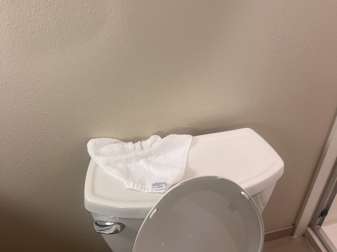 Holiday Inn Express & Suites Omaha South - Ralston Arena by IHG主图