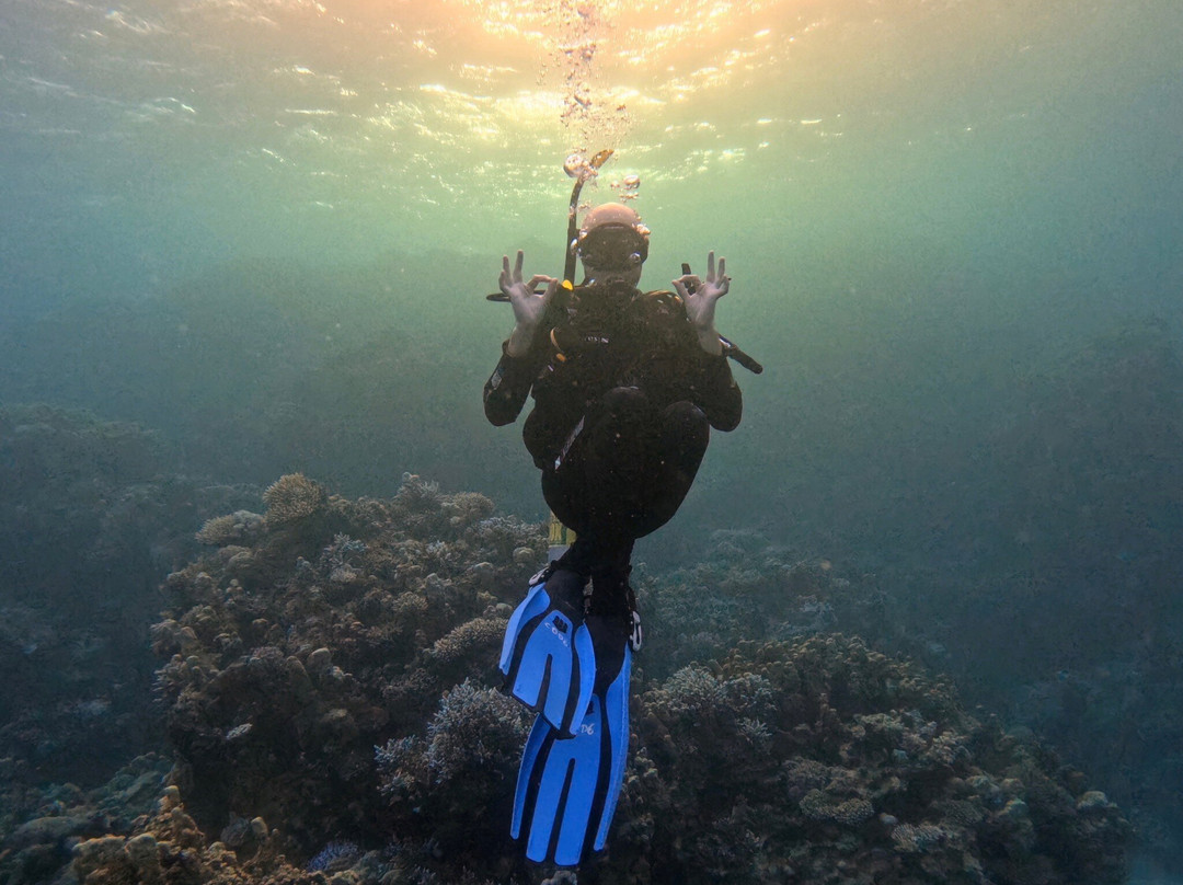 Circle Divers Dahab-达哈卜必去景点