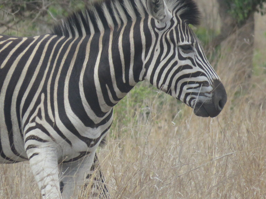 Afrika 24 Reisen-开普敦必去景点