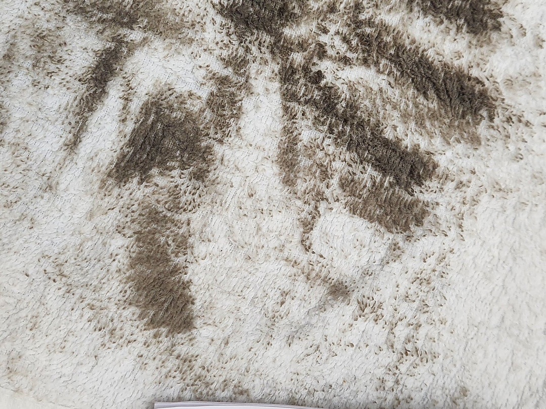 Quality Inn & Suites Riverfront主图