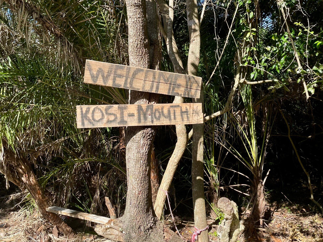 Kosi Bay Nature Reserve-Kosi Bay必去景点