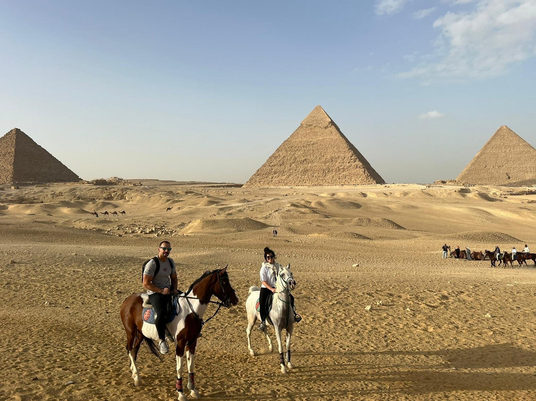 Fb Stables-吉萨必去景点