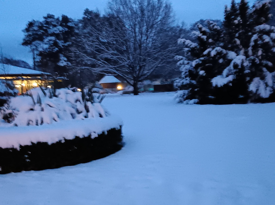 Hotel Bernstein Prerow主图