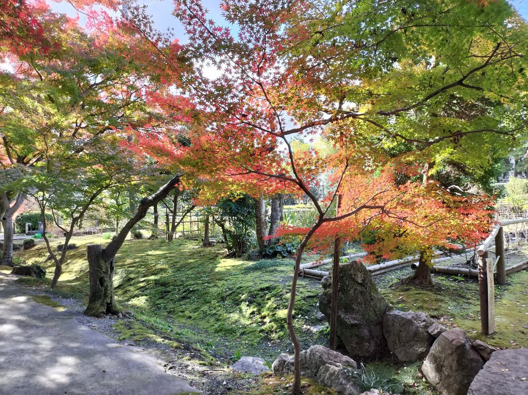 Ochaya Yashiki Trace-大垣市必去景点