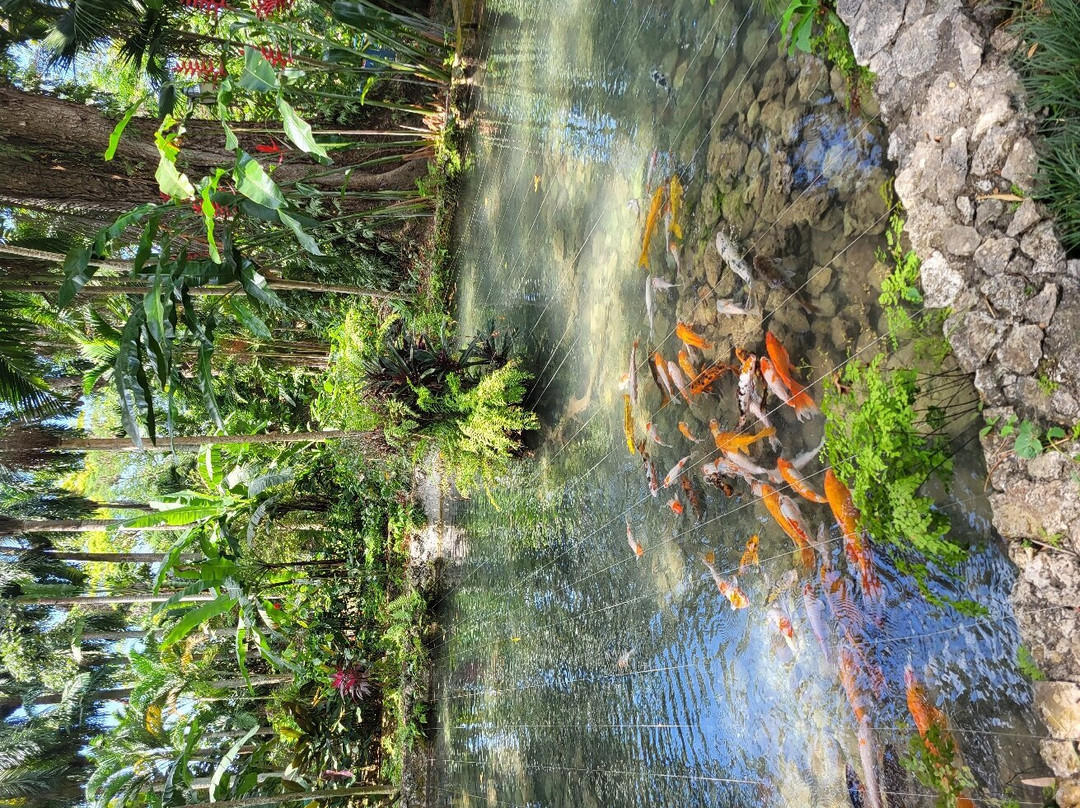 Konoko Falls & Park景点图片