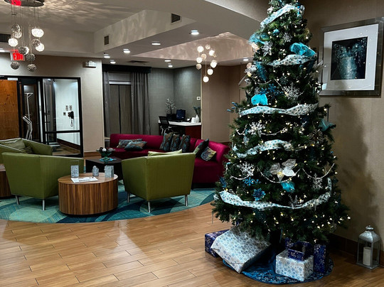 SpringHill Suites by Marriott Orlando North/Sanford主图