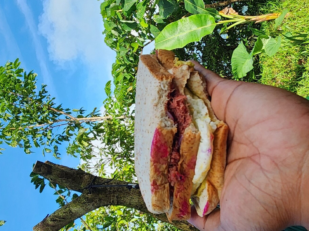 Mt. Manunggal-Balamban必去景点