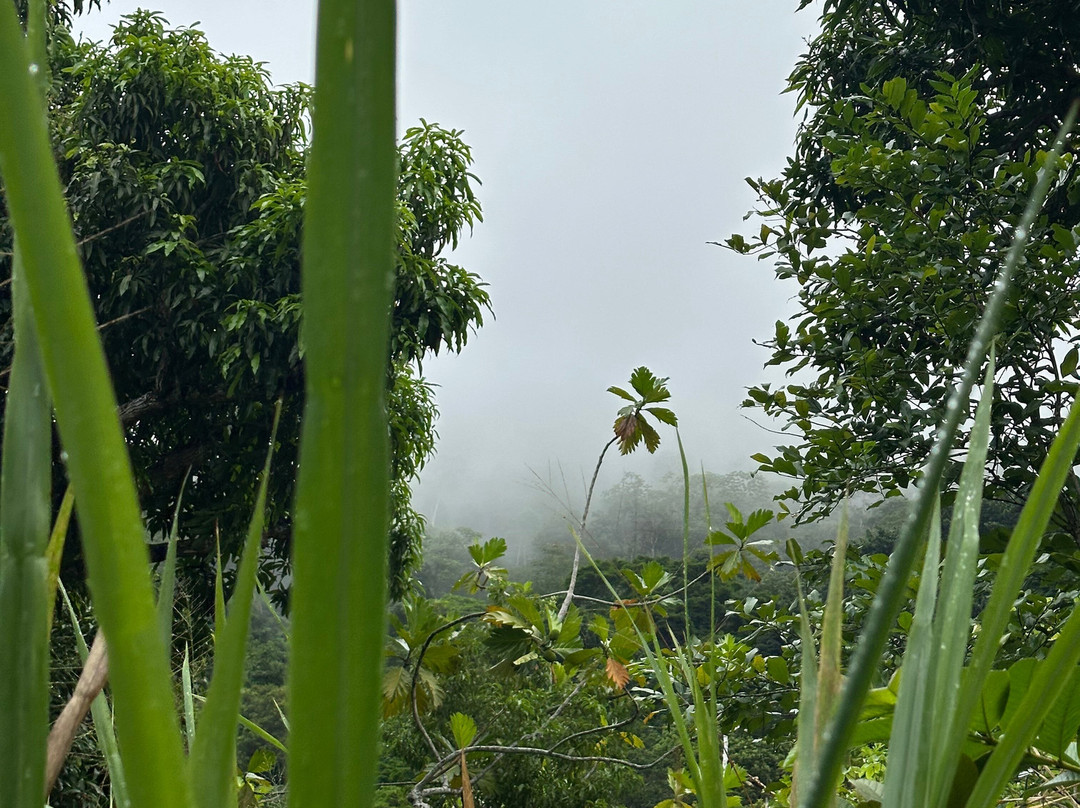 Senderos Margarita景点图片
