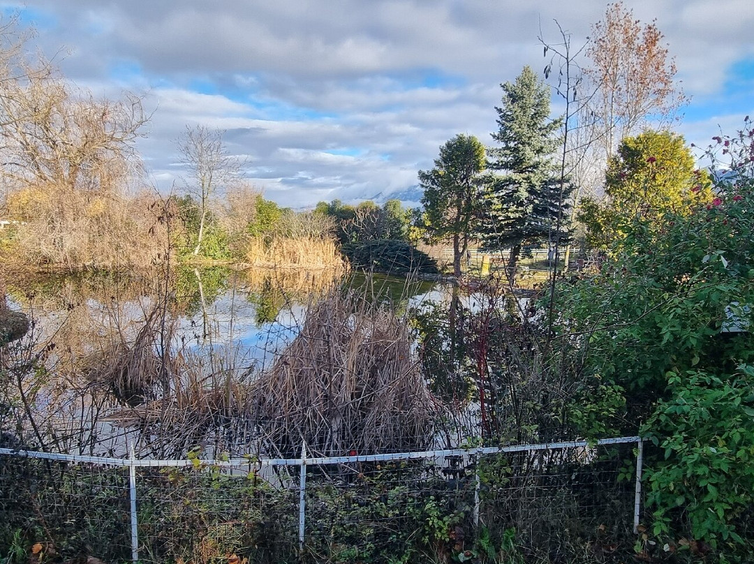 Locanda Dell'Asino D'Oro主图