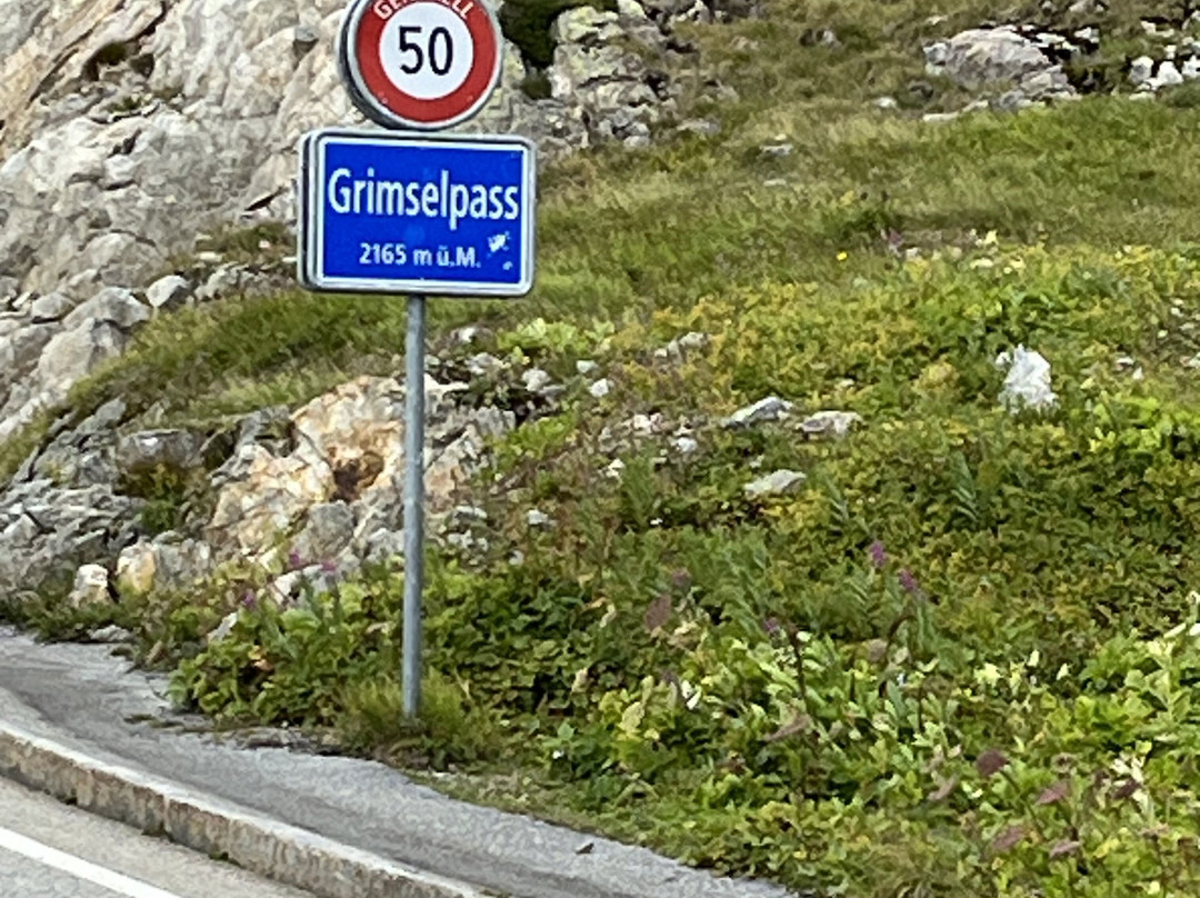 Grimsel Pass-上瓦尔德必去景点