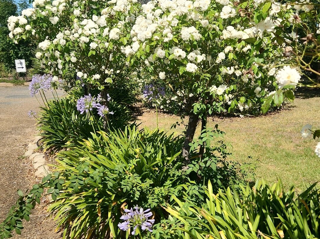 Burringa Motel主图