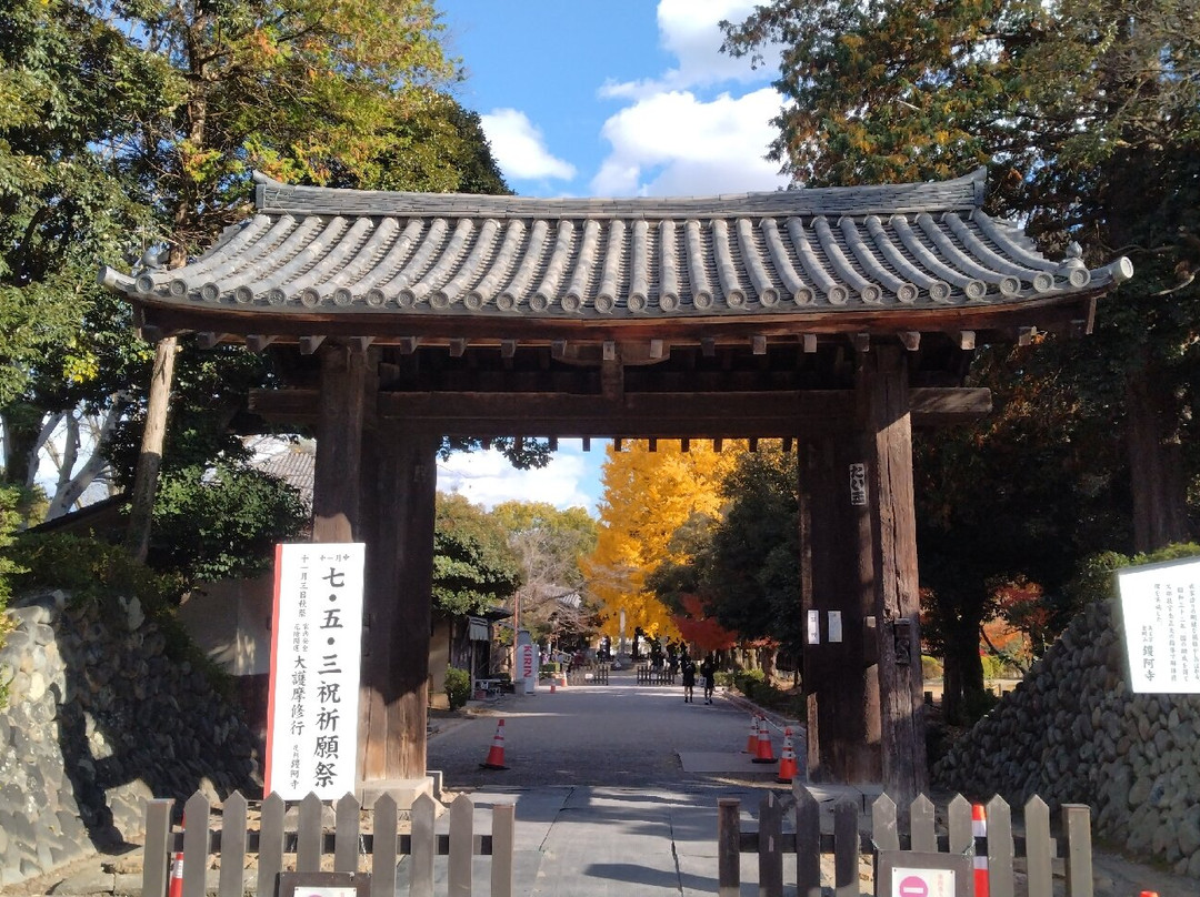 Banna-ji Temple East Gate & West Gate-足利市必去景点