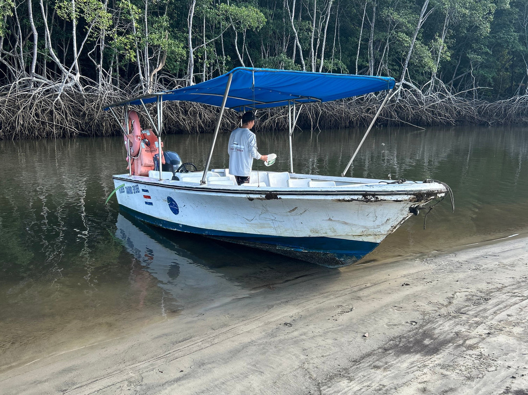 Tamarindo Explorer景点图片