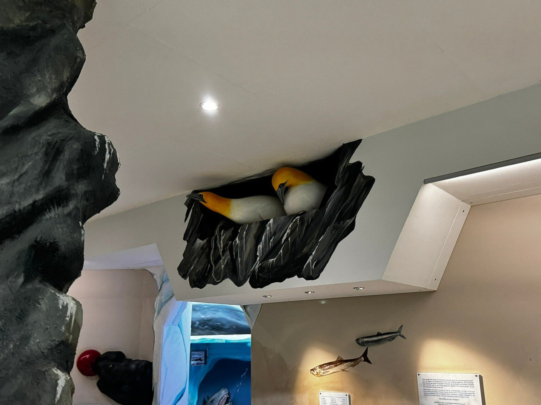 Seehundstation Friedrichskoog景点图片