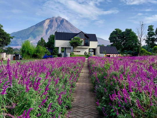 Pt. Goe Indonesia Tours-棉兰必去景点