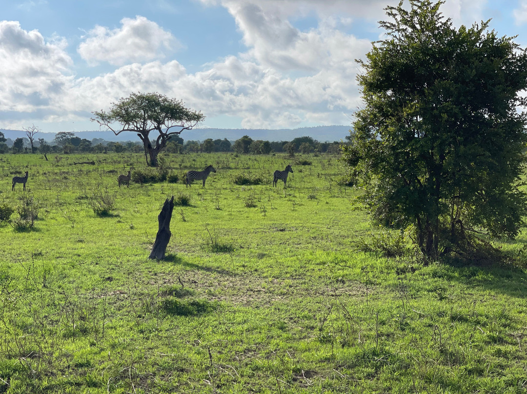 Tanzania Safari Trails Dmc Ltd-Dar es Salaam必去景点