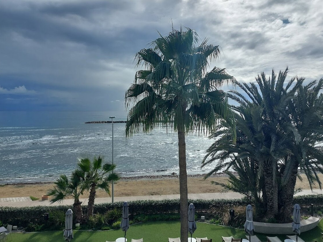 Mercure Larnaca Beach Resort主图