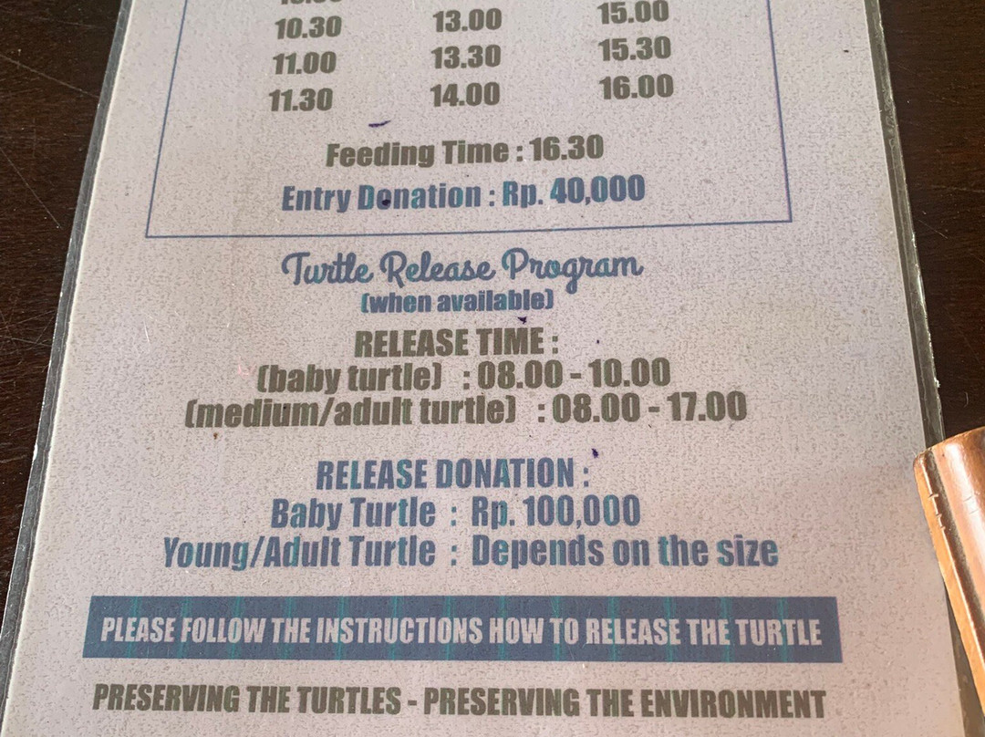 The Turtle Project景点图片