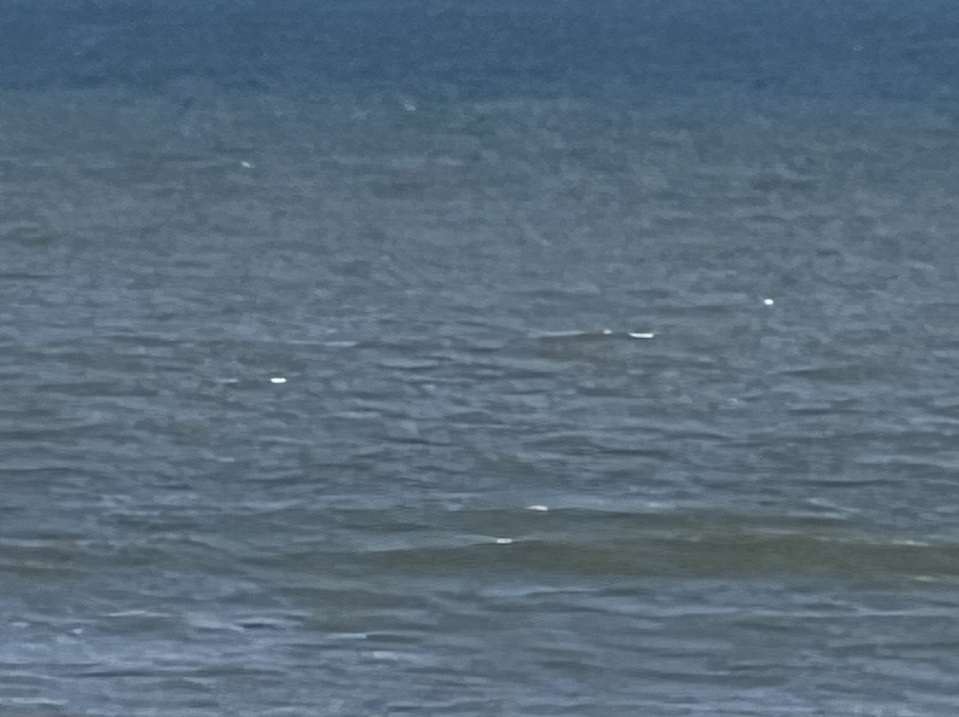 Hampton Inn St. Augustine Beach主图