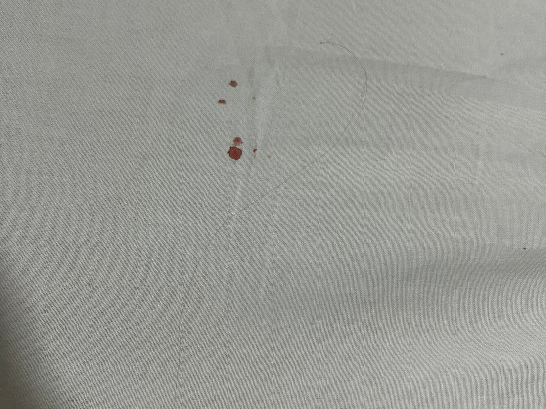 Augusto Palace Hotel主图