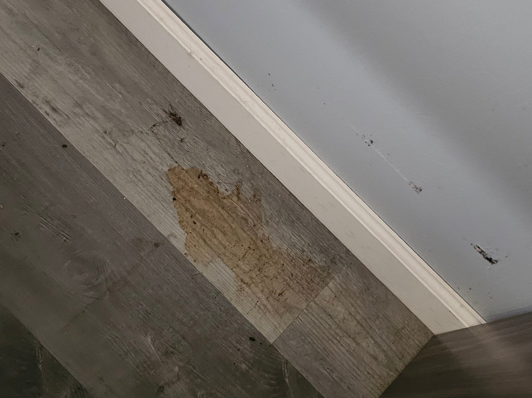 Super 8 by Wyndham Chipley主图