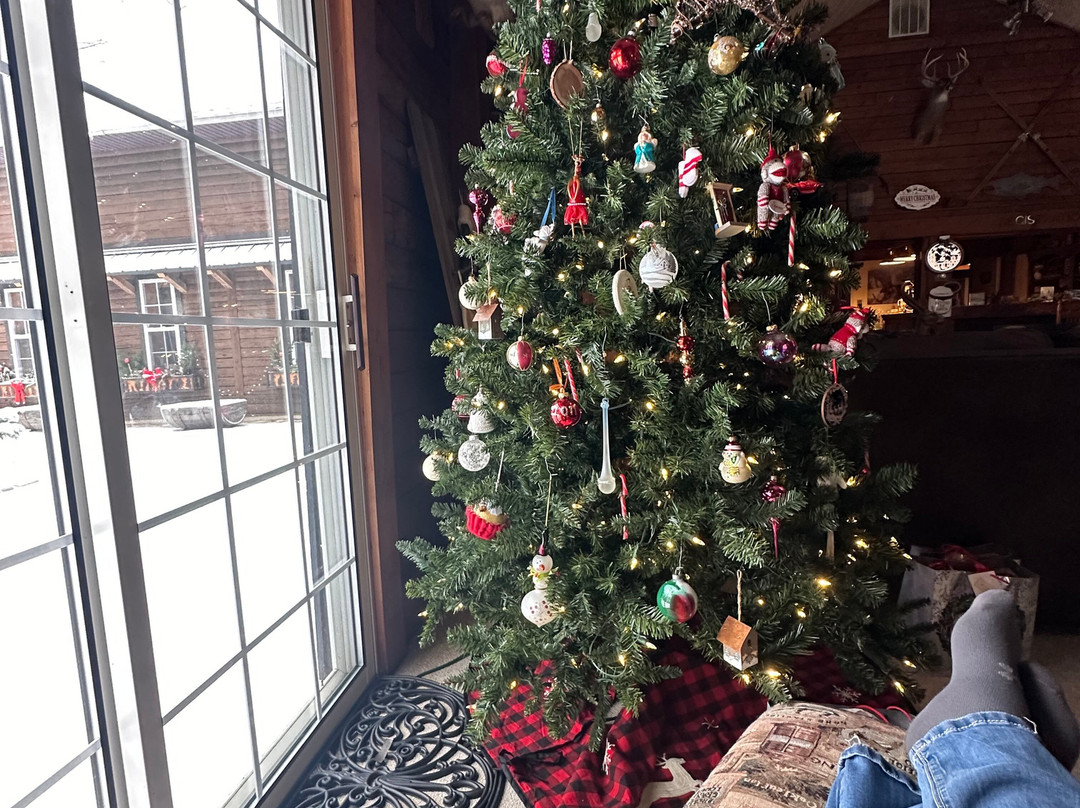 Fox's Lodge at Oak Pointe Bed and Breakfast主图