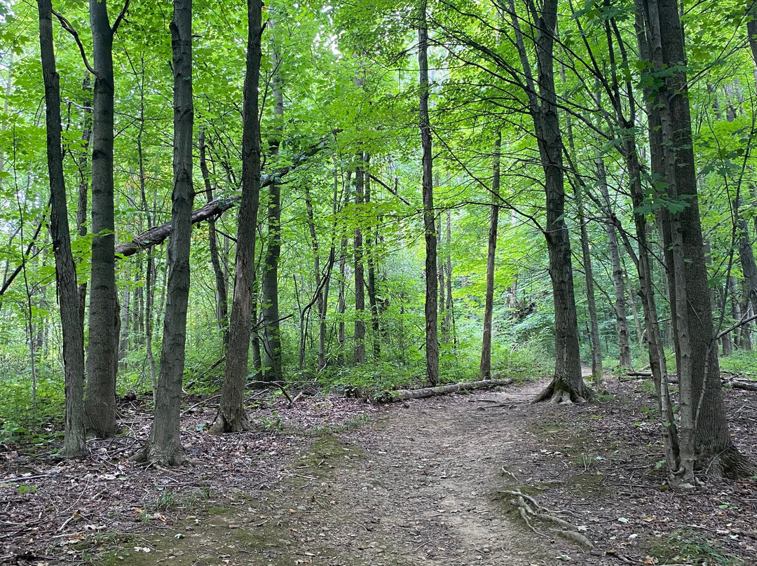 Gorman Nature Center景点图片
