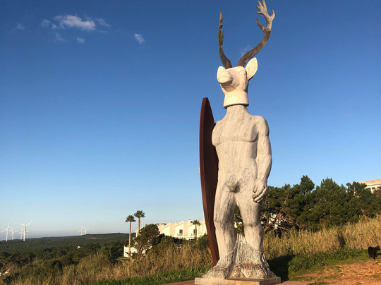 Shuttle Douro Tours-波尔图必去景点