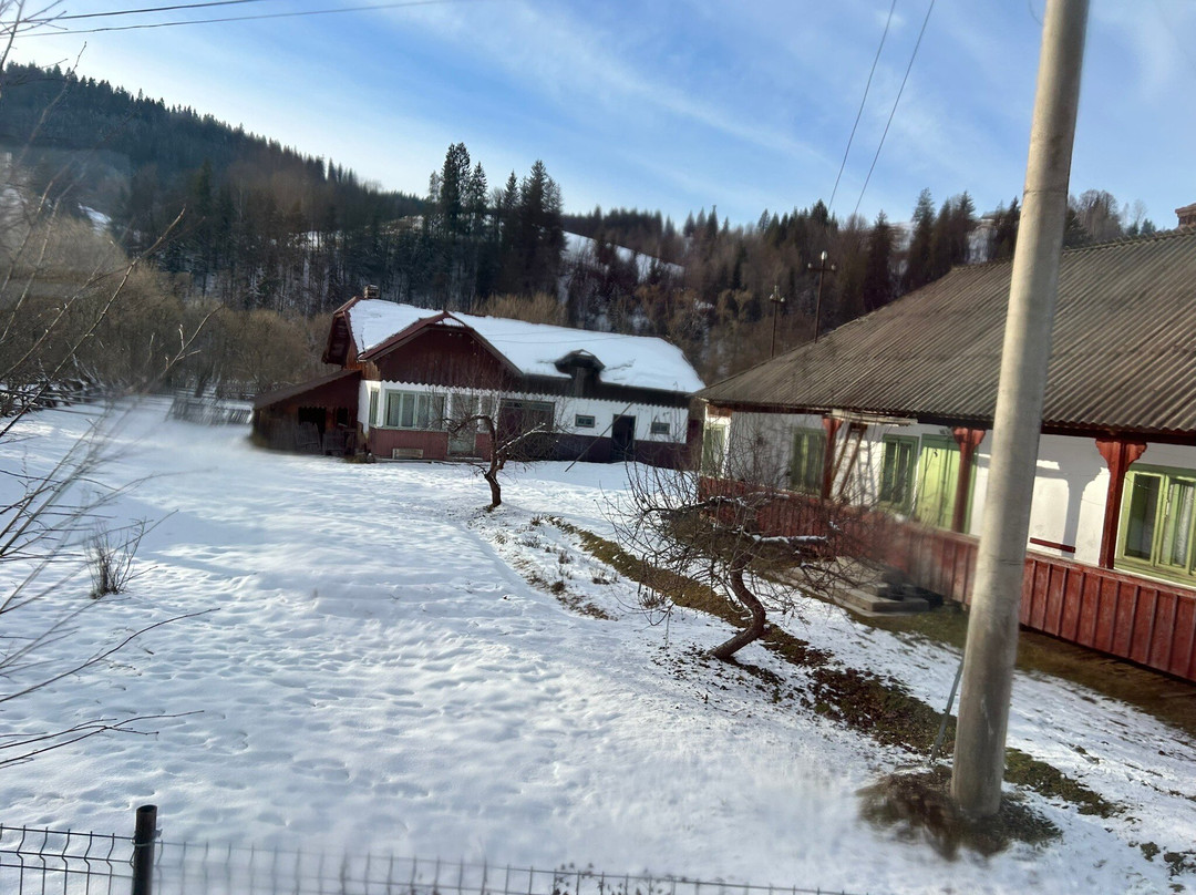 Mocănița Huțulca (Moldovița)景点图片