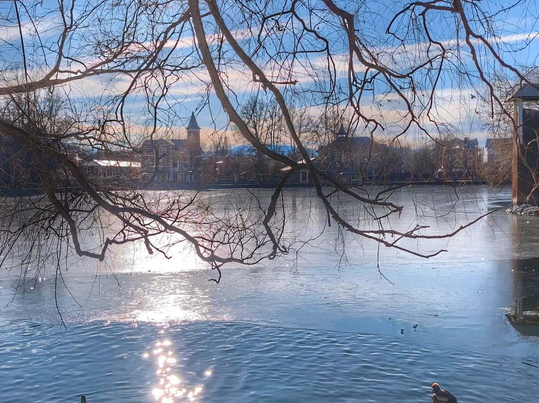 Lago de Puigcerda景点图片