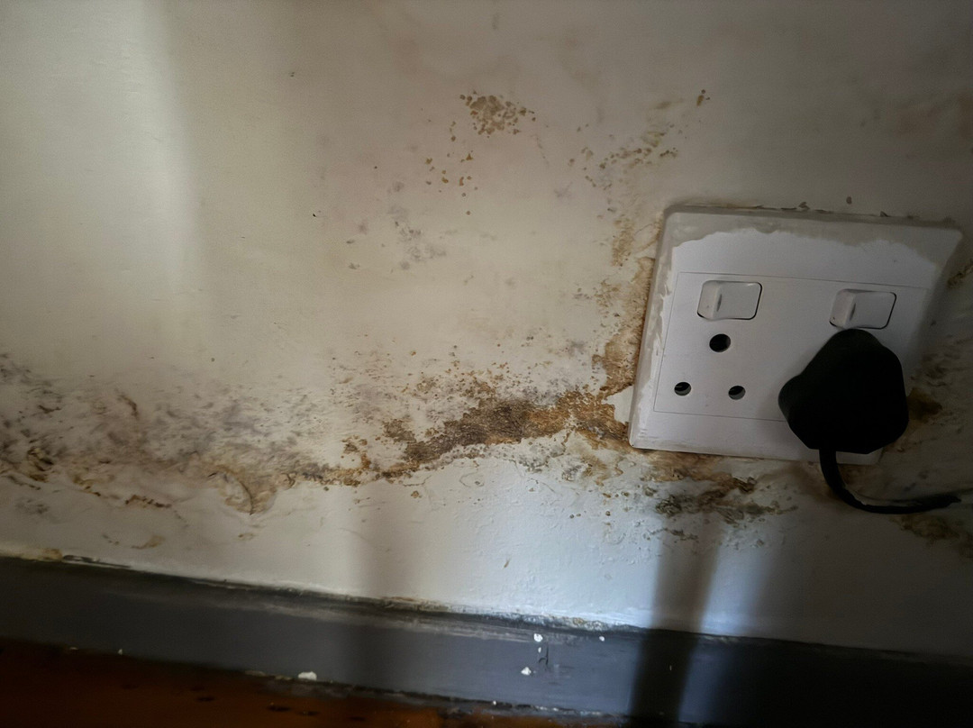 Luxe Musgrave Boutique Hotel